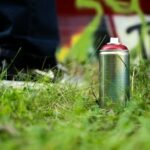 pexels evan velez saxer 9311511 Does Paint Kill Grass? Our Top Three Picks for a Lush Lawn!